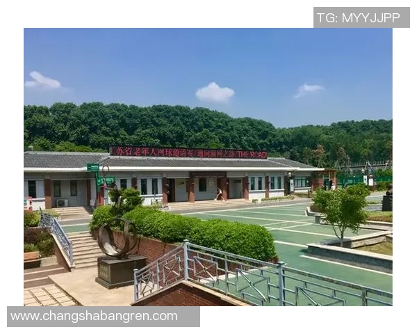 南京网球队区域防守分析:优势与不足的全面探讨 南京网球队区域防守分析:优势与不足的全面探讨