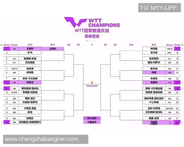 成都乒乓球队进攻策略解析与未来发展展望