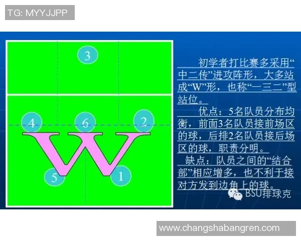 杭州排球队防守分析与战术调整的得失评估 杭州排球队防守分析与战术调整的得失评估