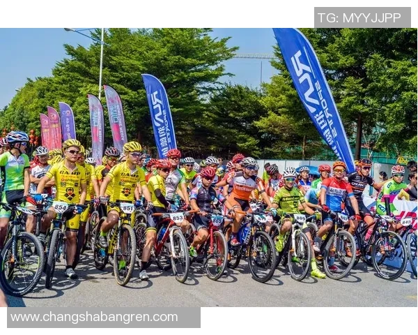 深圳篮球队挑战赛特别报道:从艰辛起步到辉煌成就的奋进之路 深圳篮球队挑战赛特别报道:从艰辛起步到辉煌成就的奋进之路