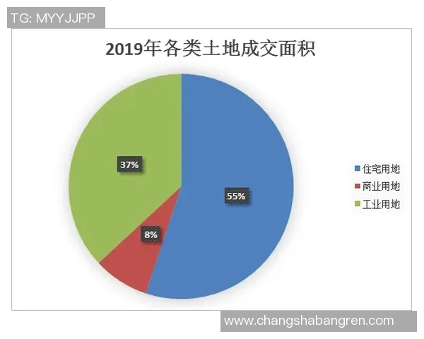 重庆排球队运营分析:成败得失背后的深层原因与未来展望 重庆排球队运营分析:成败得失背后的深层原因与未来展望