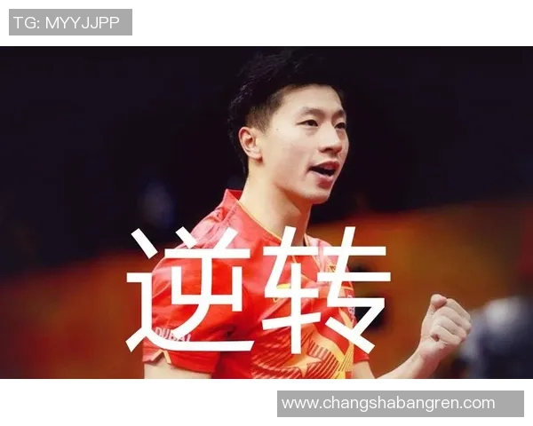 深圳排球队战术表现深度解析与大满贯点评