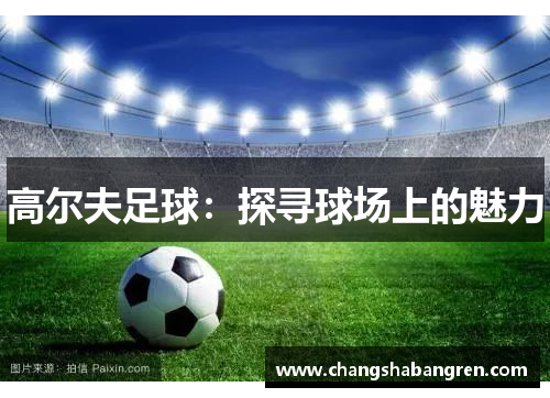 高尔夫足球：探寻球场上的魅力